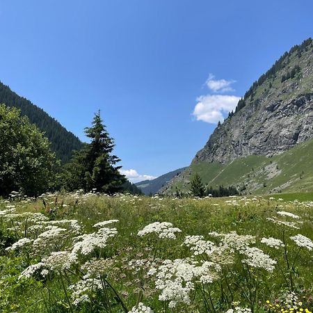 T2 Vue Sur Le Parc De La Vanoise La Plagne Bagian luar foto