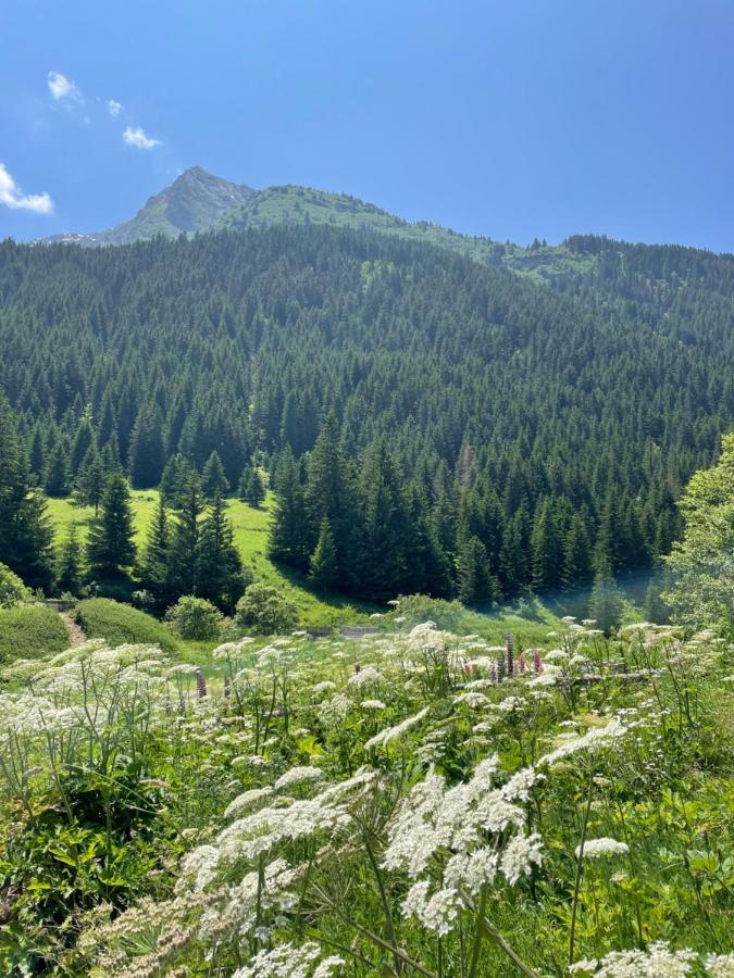 T2 Vue Sur Le Parc De La Vanoise La Plagne Bagian luar foto