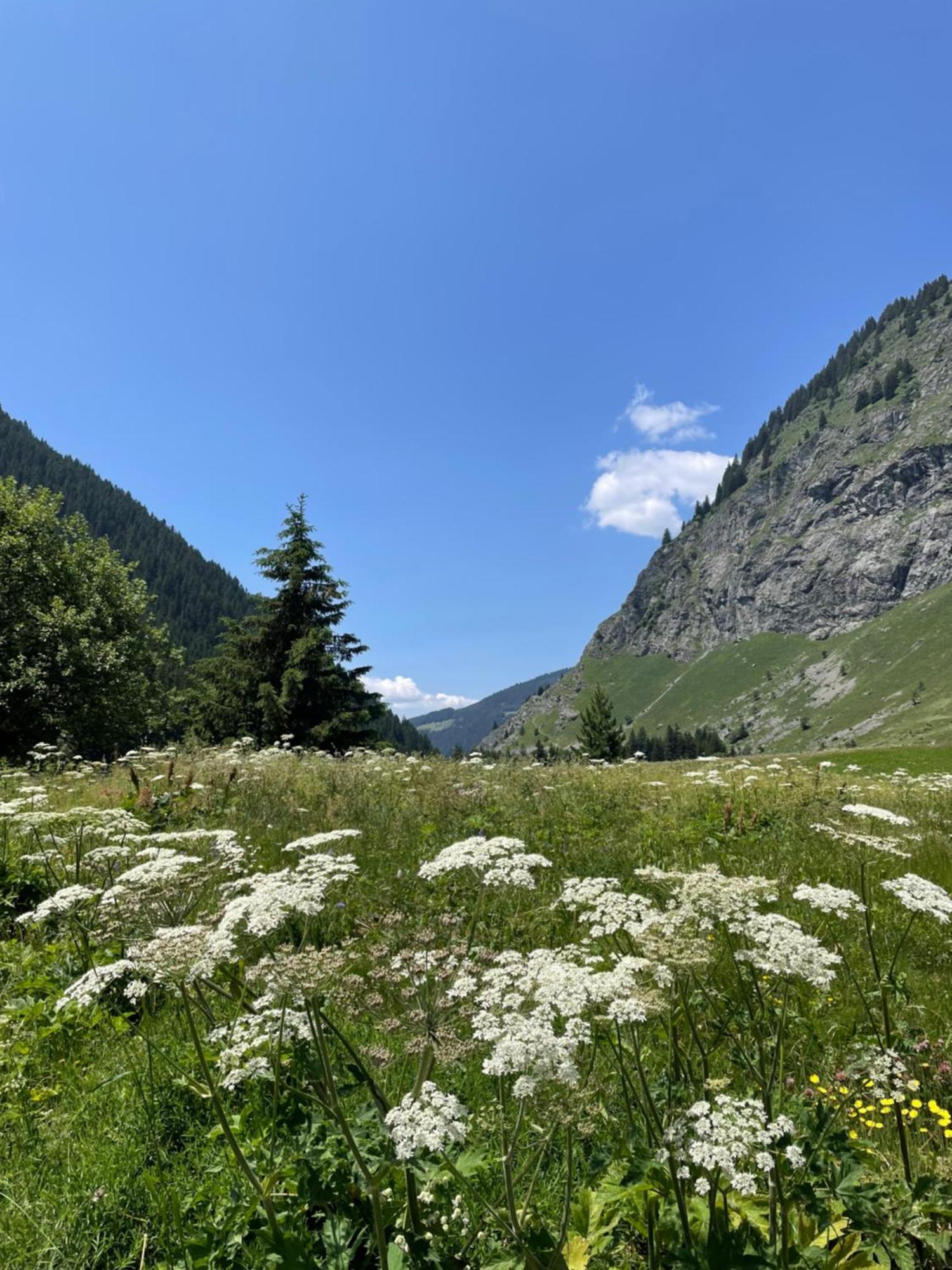 T2 Vue Sur Le Parc De La Vanoise La Plagne Bagian luar foto